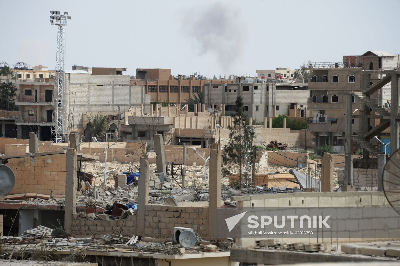 Palmyra update