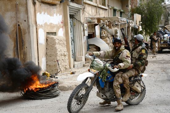 Palmyra update
