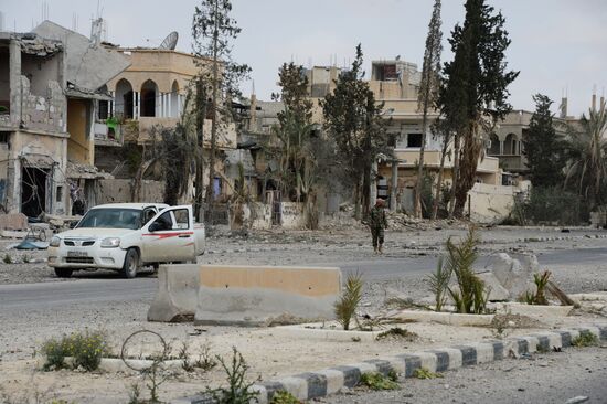 Palmyra update