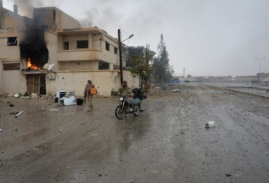 Palmyra update