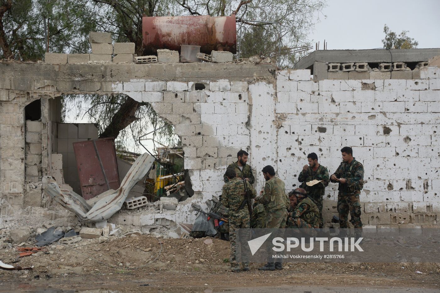 Palmyra update