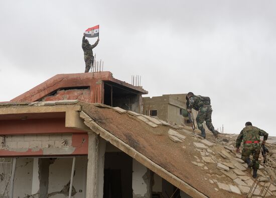 Palmyra update