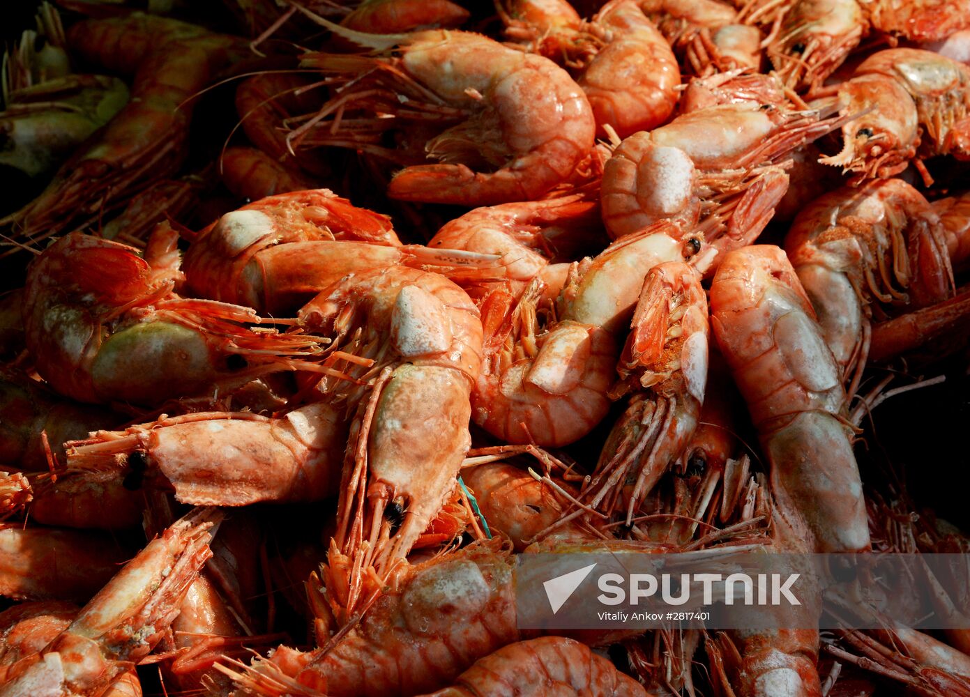 Food market in Vladivostok's central square