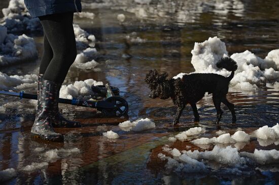 Spring in Novosibirsk