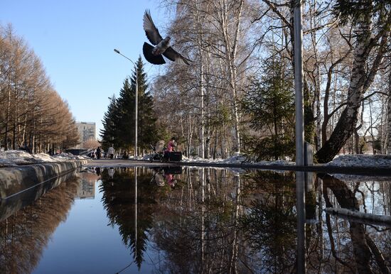 Spring in Novosibirsk