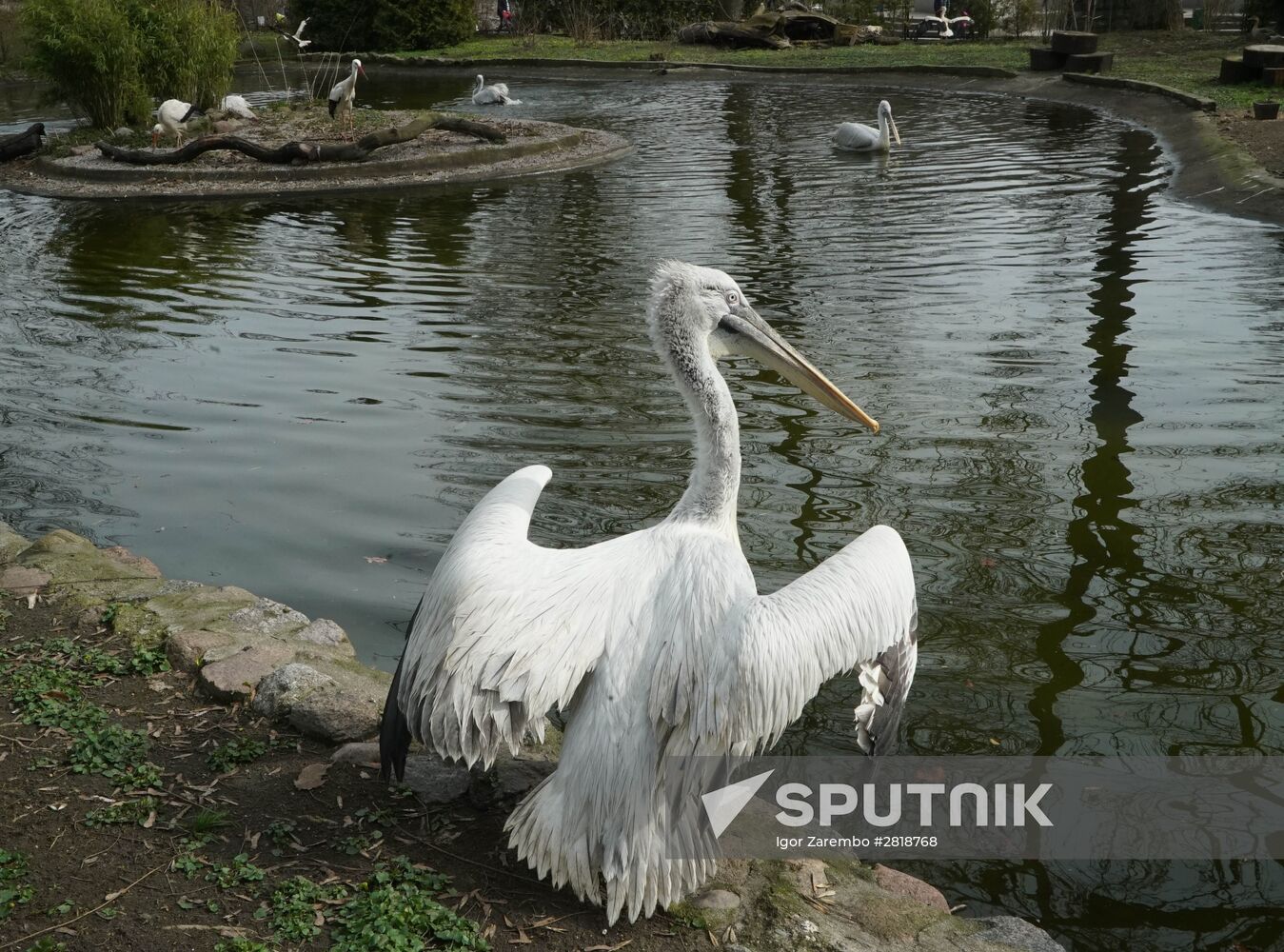 Bird Day at Kaliningrad Zoo