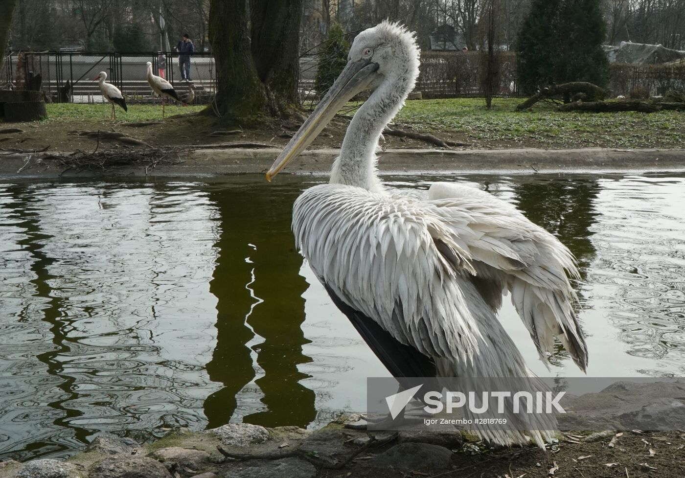 Bird Day at Kaliningrad Zoo