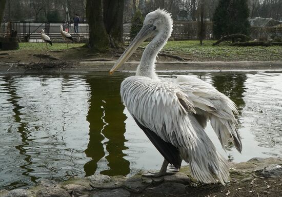 Bird Day at Kaliningrad Zoo