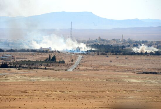 Syrian Army liberates city of al-Qaryatayn from militants