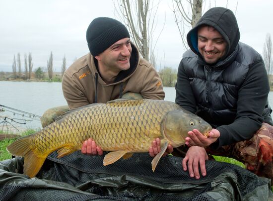 Carp fishing championship in Crimea