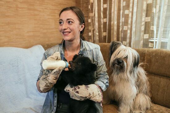 Bear cub left at animal shelter in Blagoveshchensk