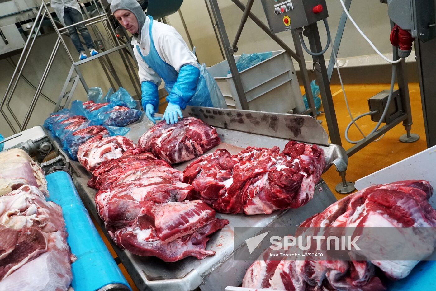 Miratorg agro-industrual holding in Kaliningrad Region