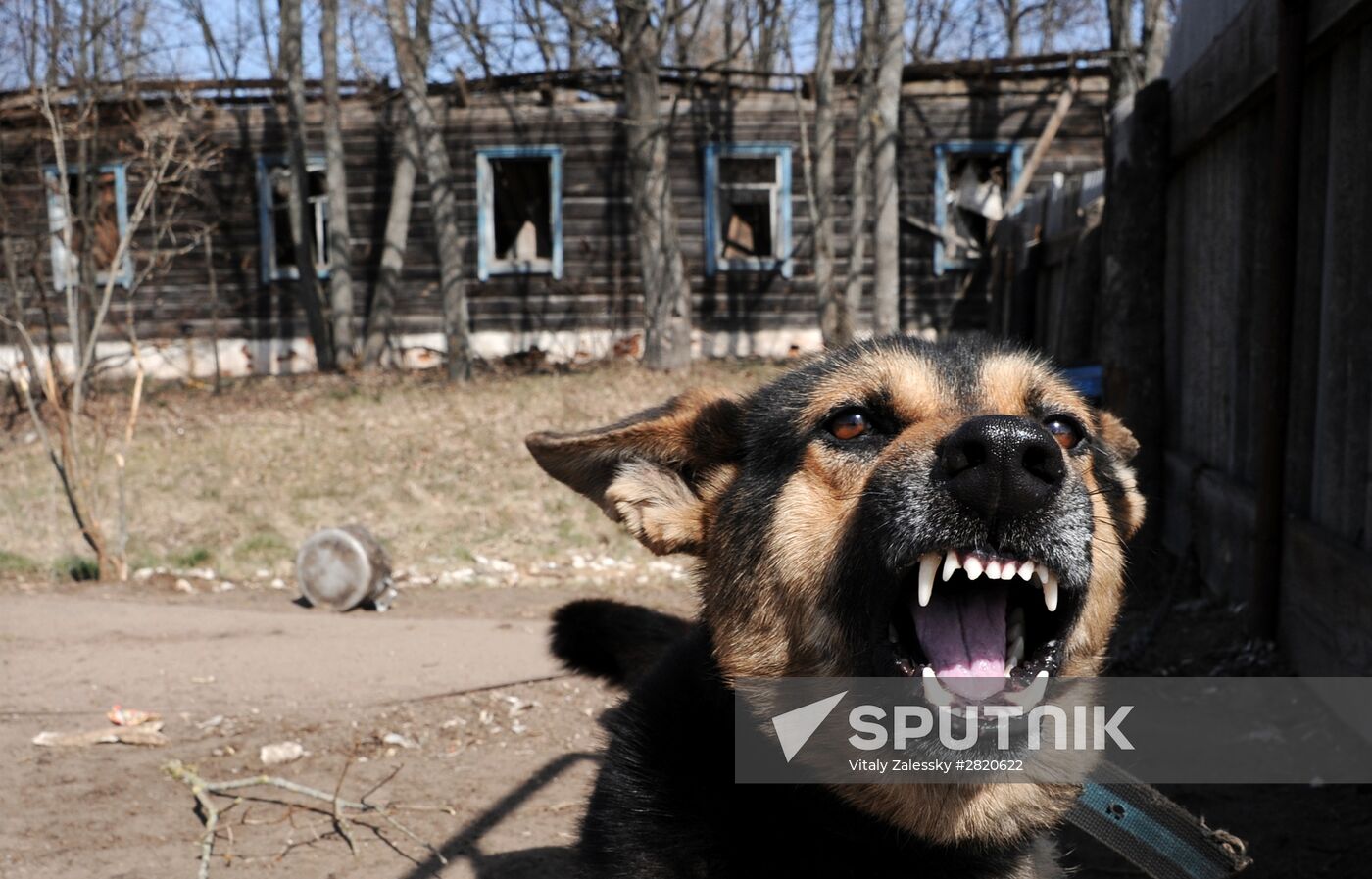 Polesie Radiation Ecolocial Reserve in Belarus