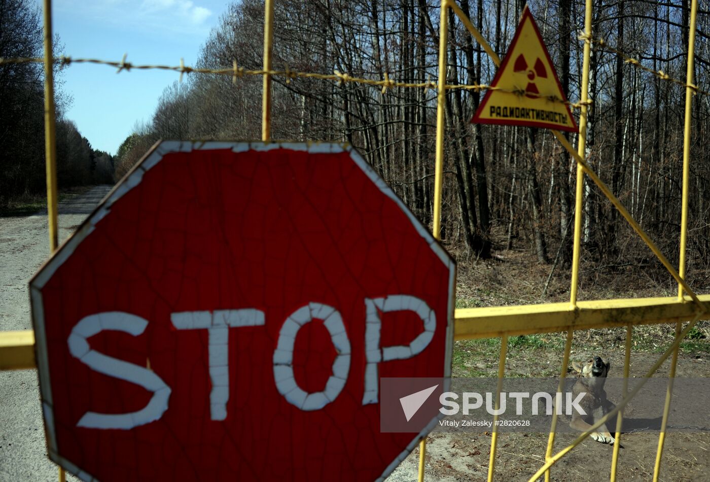 Polesie Radiation Ecolocial Reserve in Belarus