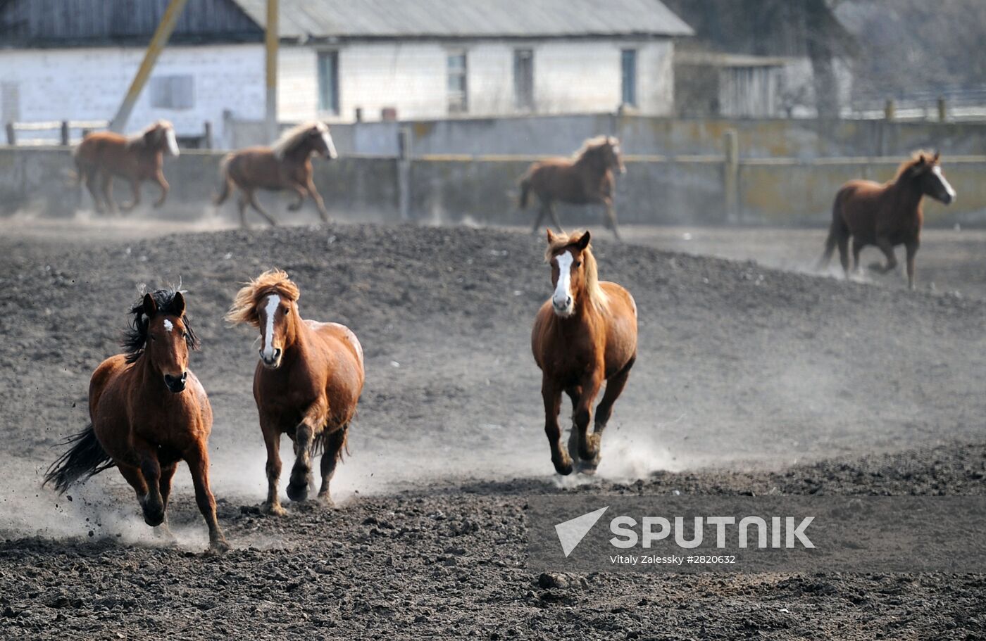 Polesie Radiation Ecolocial Reserve in Belarus