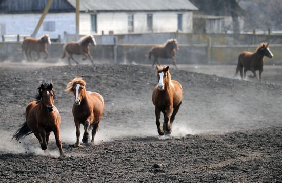 Polesie Radiation Ecolocial Reserve in Belarus