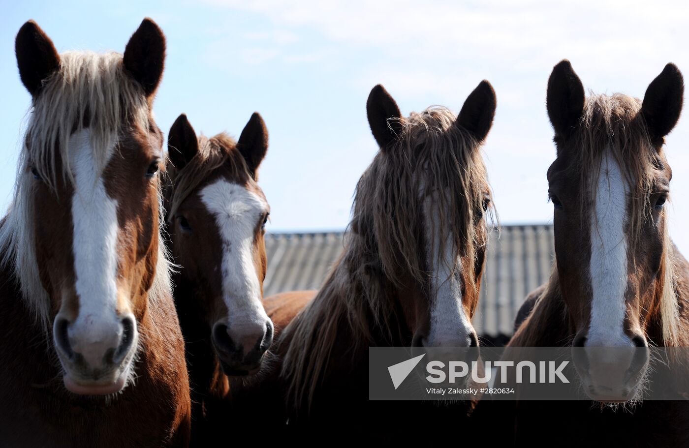 Polesie Radiation Ecolocial Reserve in Belarus