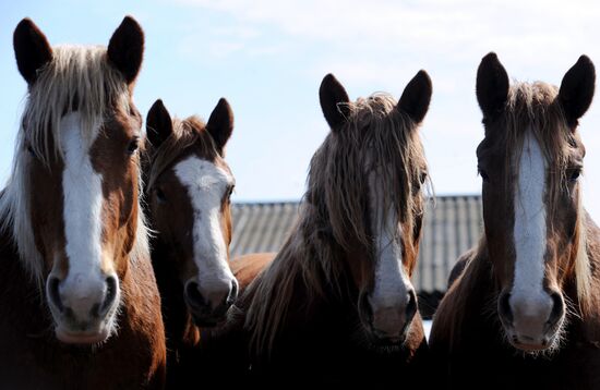 Polesie Radiation Ecolocial Reserve in Belarus