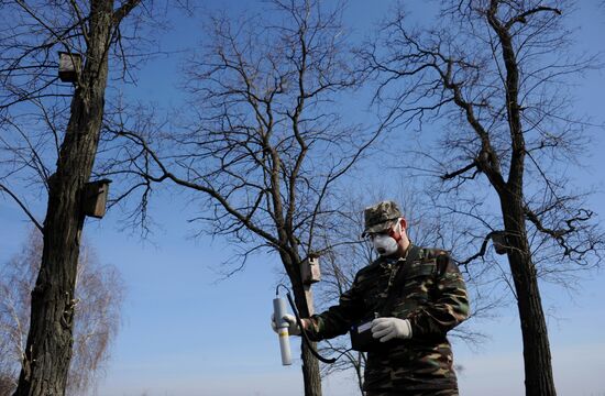 Polesie Radiation Ecolocial Reserve in Belarus