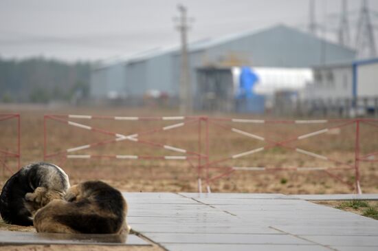 Exclusion zone around Chernobyl nuclear power plant