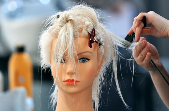 WorldSkills Russia, championship of professional skills in Kazan