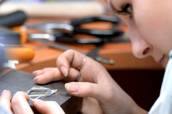 WorldSkills Russia, championship of professional skills in Kazan