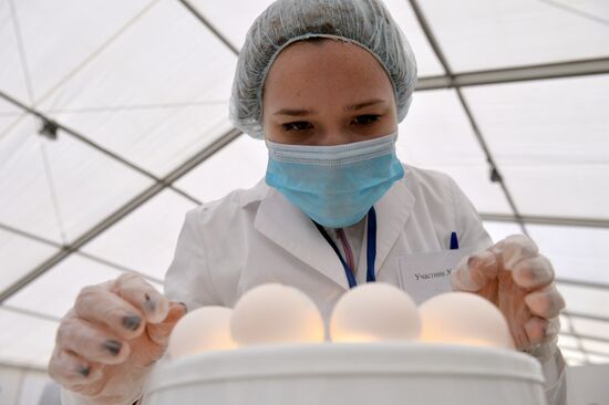 WorldSkills Russia, championship of professional skills in Kazan