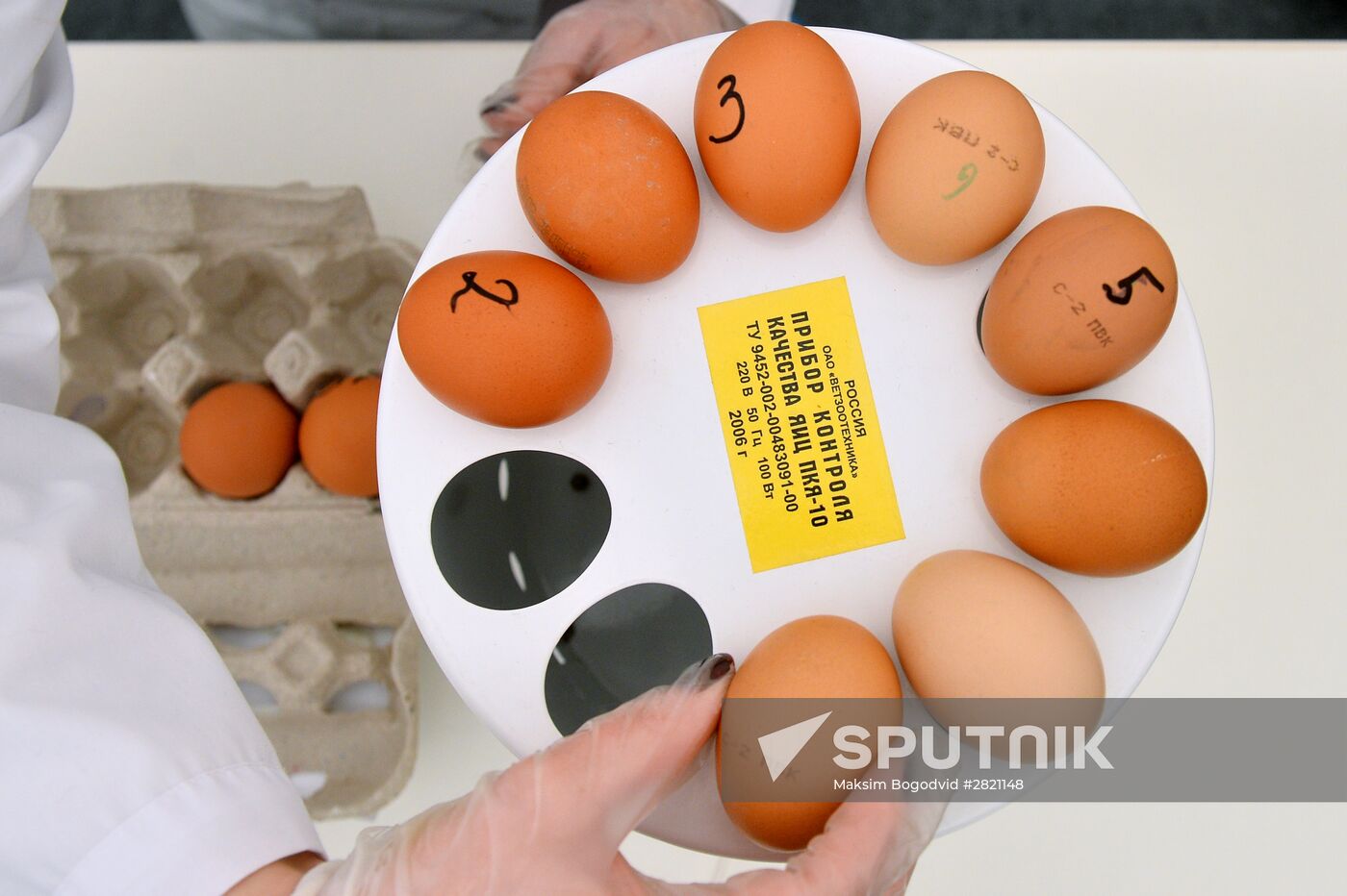 WorldSkills Russia, championship of professional skills in Kazan