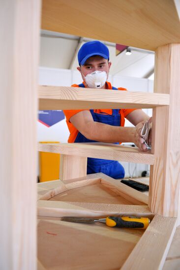 WorldSkills Russia, championship of professional skills in Kazan