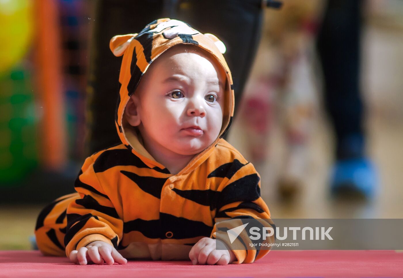Prewalker baby race in Petrozavodsk