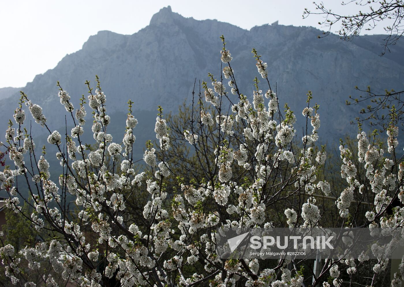 Spring in Crimea