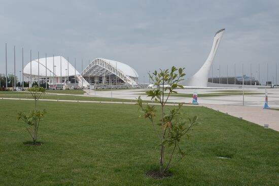 Fisht Stadium reconstructed in Sochi