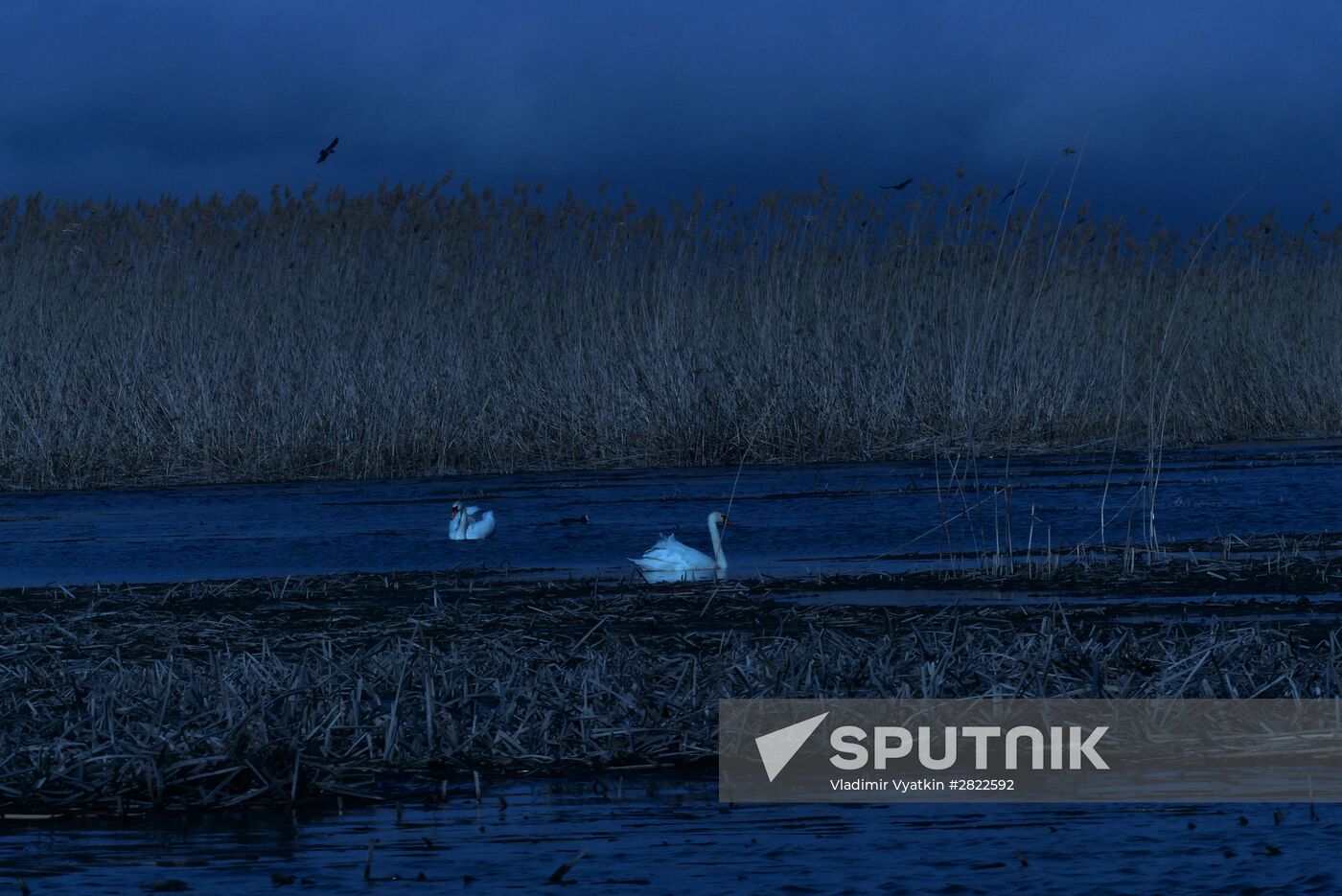 Fishing in the Astrakhan Region