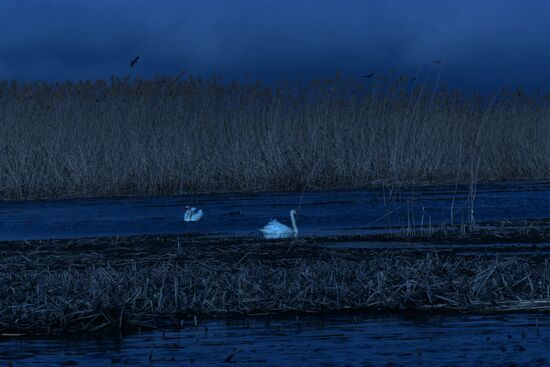 Fishing in the Astrakhan Region