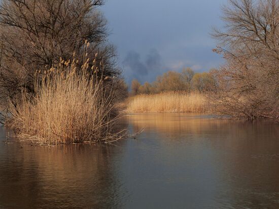 Fishing in Astrakhan region