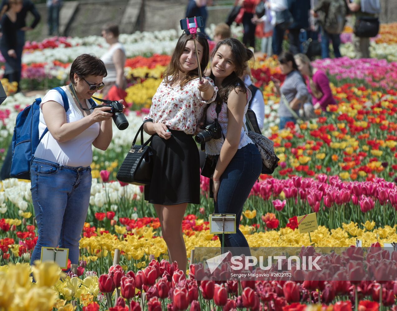 Tulip Parade 2016 in Crimea