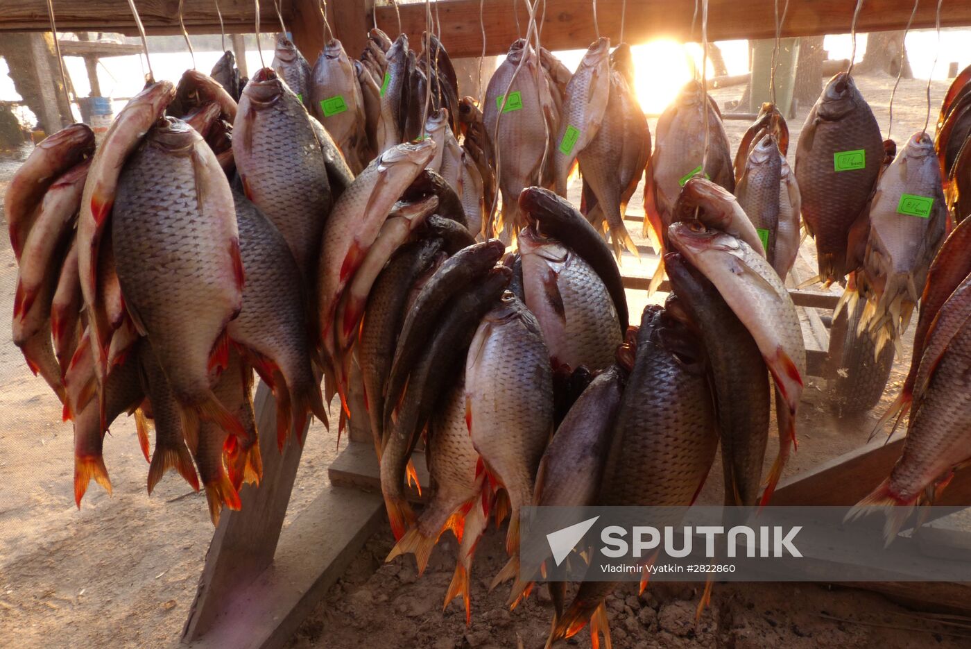 Fishing in Astrakhan region