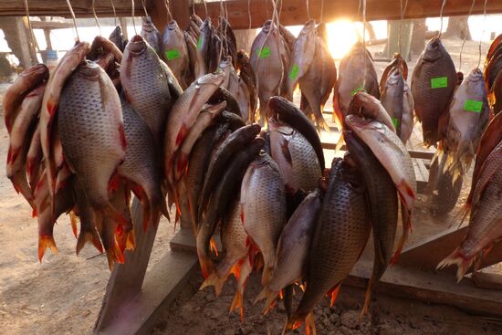 Fishing in Astrakhan region
