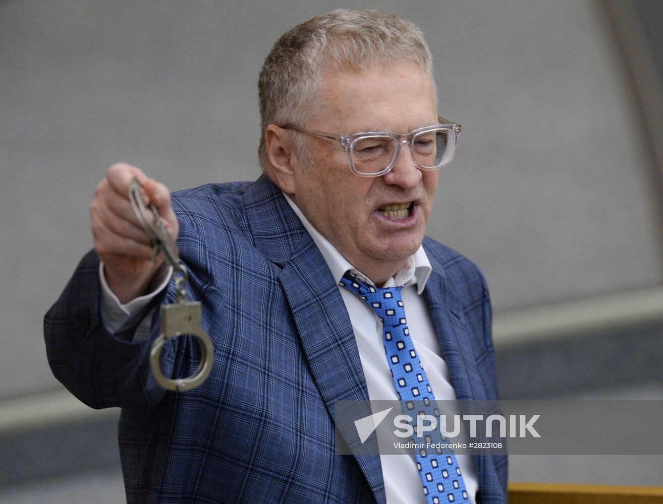 Plenary meeting of the State Duma of the Russian Federation