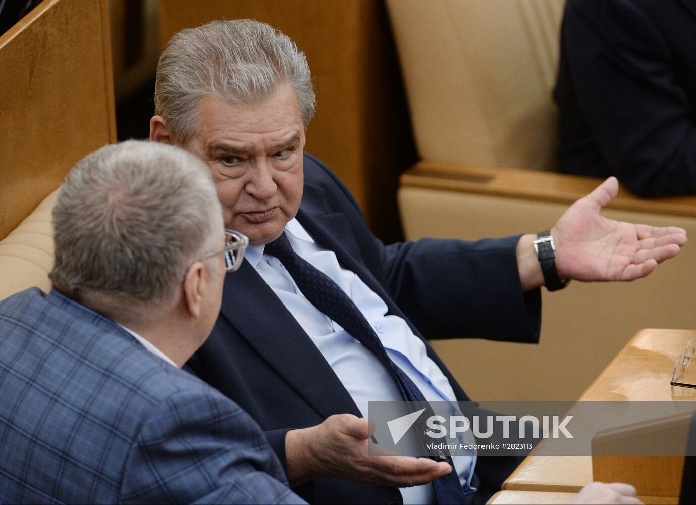 Plenary meeting of the State Duma of the Russian Federation