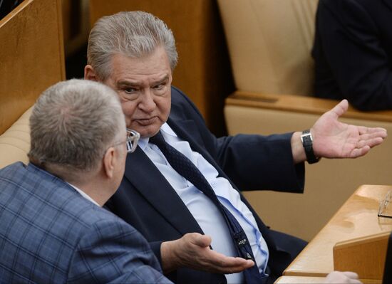 Plenary meeting of the State Duma of the Russian Federation