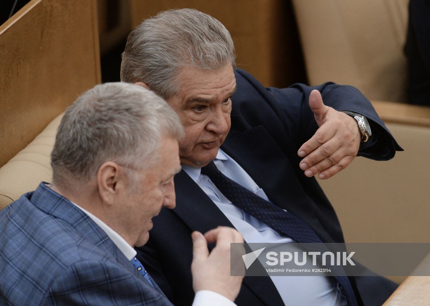 Plenary meeting of the State Duma of the Russian Federation