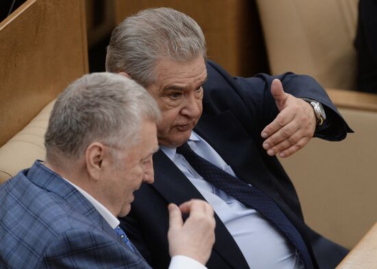 Plenary meeting of the State Duma of the Russian Federation