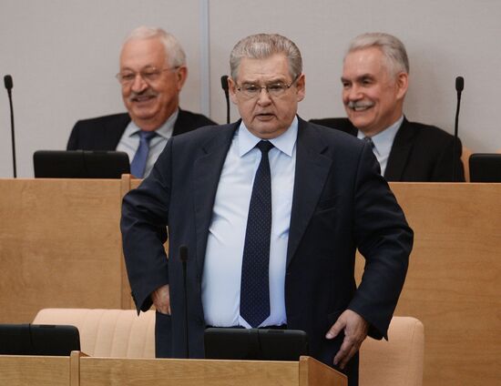 Plenary meeting of the State Duma of the Russian Federation