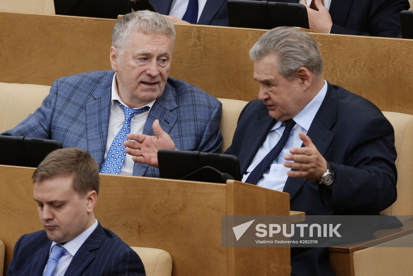 Plenary meeting of the State Duma of the Russian Federation