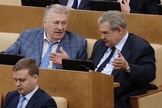 Plenary meeting of the State Duma of the Russian Federation
