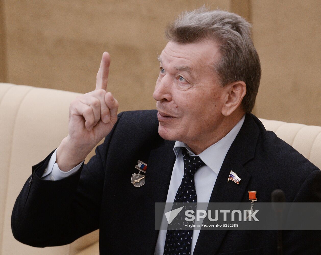 Plenary meeting of the State Duma of the Russian Federation