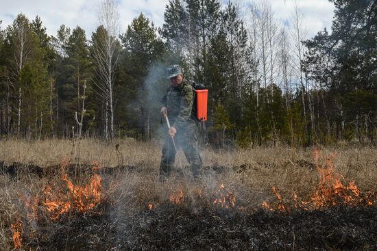 Extinguishing natural fires in Novosibirsk Region