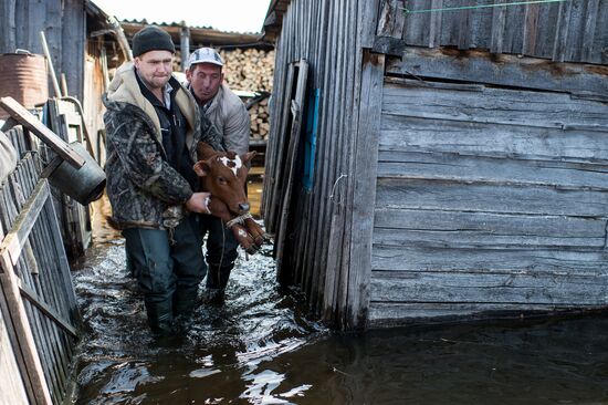 Flood in the Omsk Region