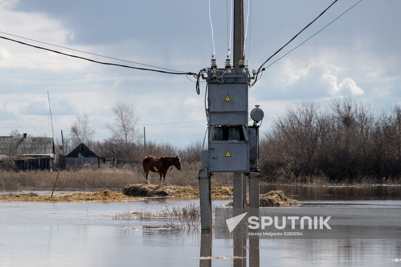 Flood in the Omsk Region